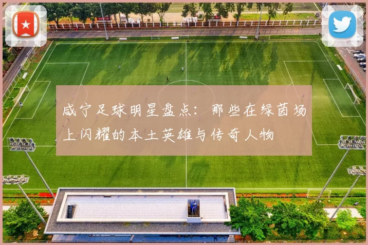 咸宁足球明星盘点：那些在绿茵场上闪耀的本土英雄与传奇人物