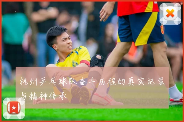 杭州乒乓球队奋斗历程的真实记录与精神传承