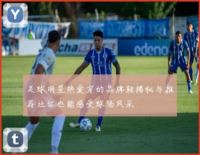 足球明星热爱穿的品牌鞋揭秘与推荐让你也能感受球场风采