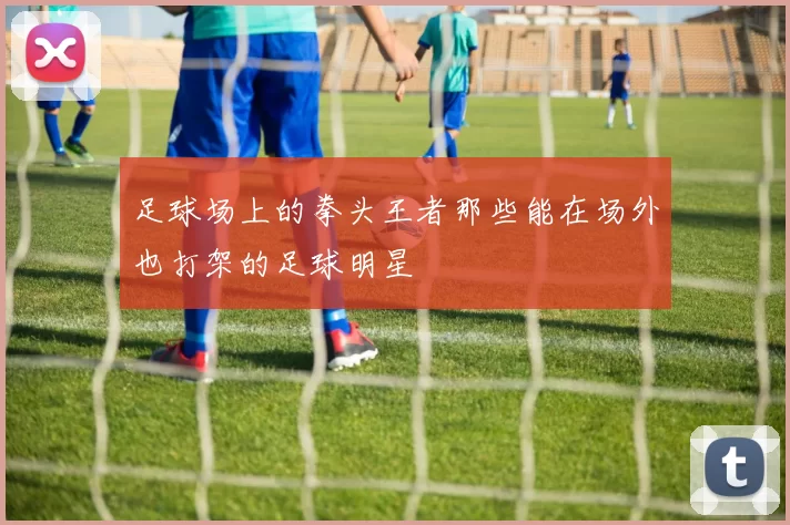 足球场上的拳头王者那些能在场外也打架的足球明星