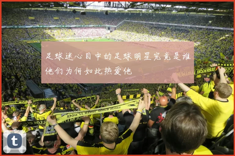 足球迷心目中的足球明星究竟是谁他们为何如此热爱他