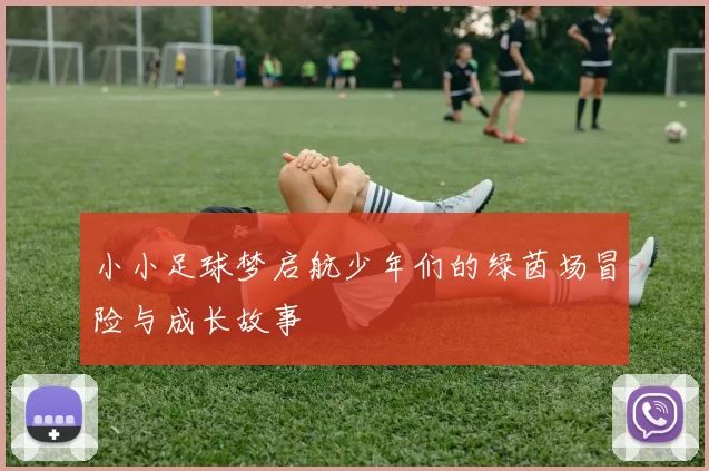小小足球梦启航少年们的绿茵场冒险与成长故事